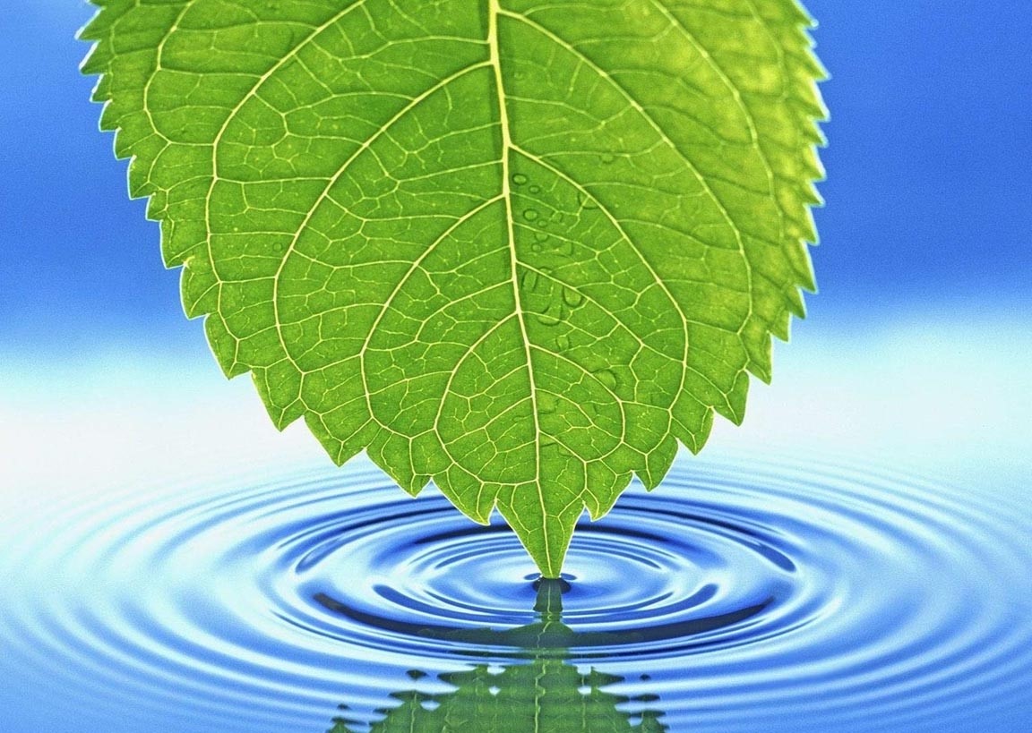 Organization banner image